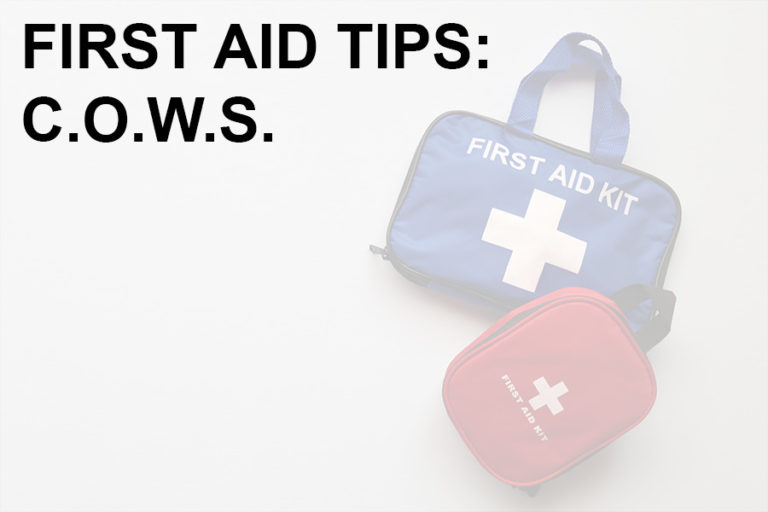 First Aid Tips What Does COWS Stand For? Med Kit Authority